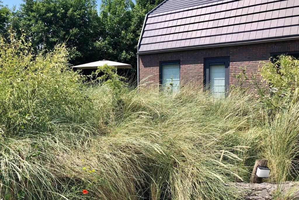 Villa Klein Geluk Egmond aan Zee Exterior photo